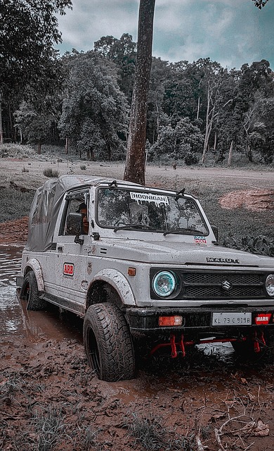 作为足坛的 作为足坛的