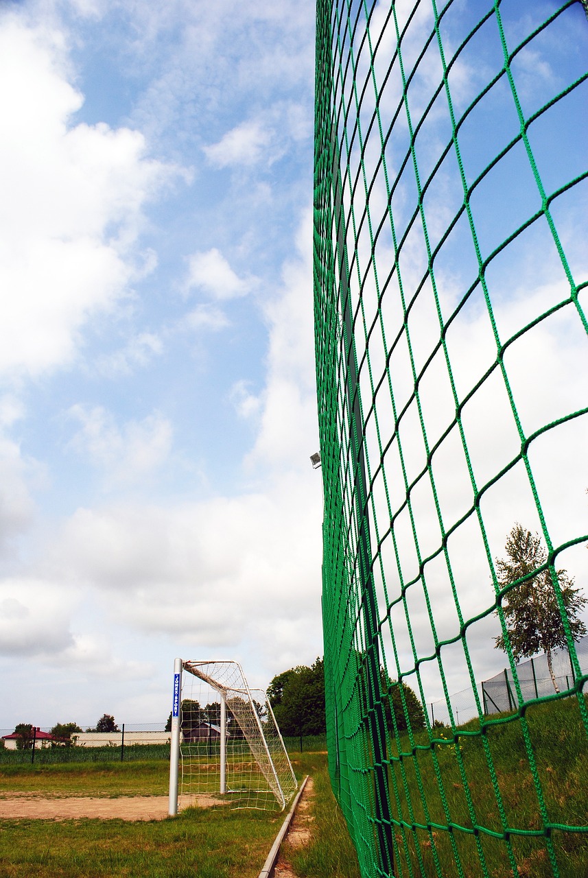 足球熱話︱曼聯主場奧脫福驚傳鼠患　衛生評分被貶至第二最低級別.