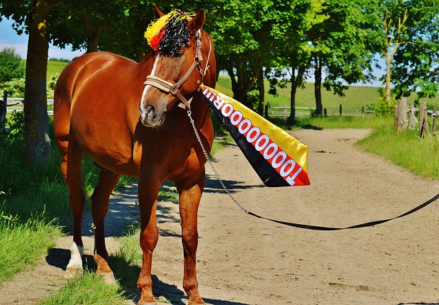 比赛日前瞻：泰山海港主场迎中超首轮，曼城能否阻击利物浦？.