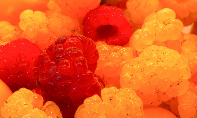 供理性的预 供理性的预