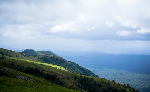 胆子真大！穆帅一口气拿下海港3大功勋王牌，本土第一铁卫沦为多余人.