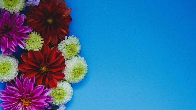 胆子真大！穆帅一口气拿下海港3大功勋王牌，本土第一铁卫沦为多余人.