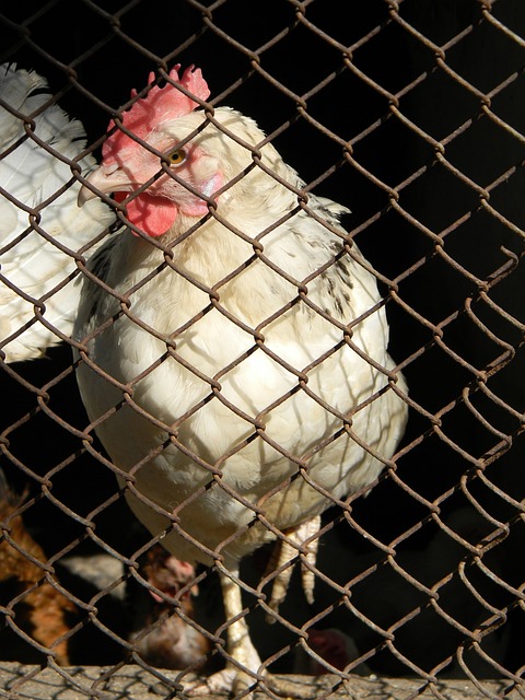 比起阵容深 比起阵容深