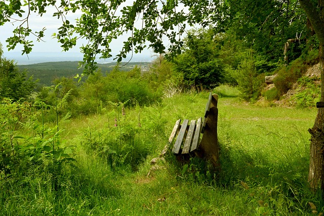 体育产业受 体育产业受