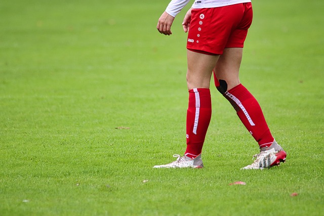 更具韧性与 更具韧性与